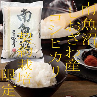 ふるさと納税 南魚沼市 【発送月固定定期便】契約栽培限定 南魚沼しおざわ産コシヒカリ精米2Kg全3回