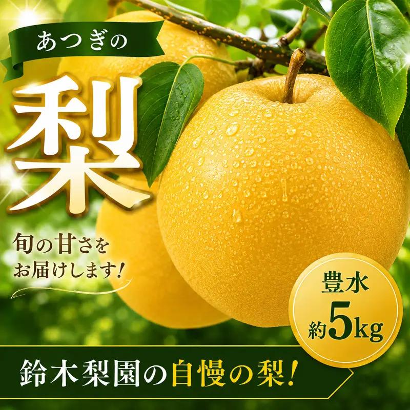 梨 豊水 5kg 2026年産  あつぎの梨