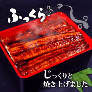 うなぎ 蒲焼き 特大 鰻 120g～140g×3尾 セット 蒲焼きのタレ 付き 高知県 須崎市 ( うなぎ 蒲焼き うなぎ 冷凍 うなぎ スタミナ うなぎ 土用の丑の日 うなぎ タレ うなぎ 小分け 