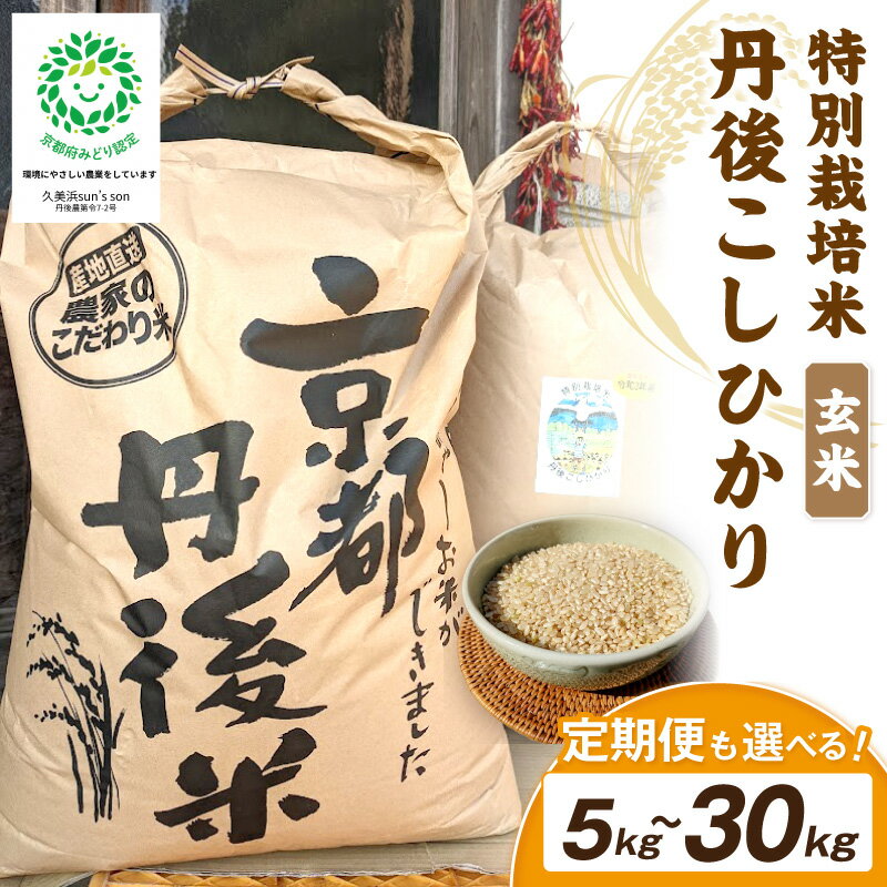 【ふるさと納税】【1回・6回定期便】玄米 令和8年産 丹後こしひかり 玄米 5kg 10kg 30kg 1回 6回【特別栽培米】新米 選べる 内容量 回数 配送月 玄米 こしひかり 5キロ 10キロ 30キロ 特別栽培 玄米 2026年産 ふるさと納税 こしひかり ふるさと納税 定期便