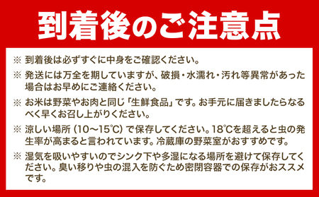 [1.3-202] 【令和7年産】精米ゆきひかり5kg《10月末～（新米収穫出来次第、出荷）》