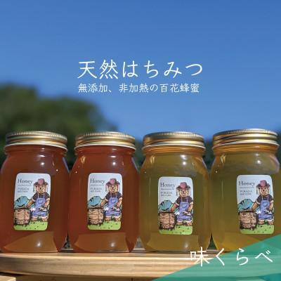 ふるさと納税 美濃市 合計2400g 深田養蜂の天然蜂蜜  非加熱 生はちみつ 岐阜県 美濃市産 味比べ4本セット C4