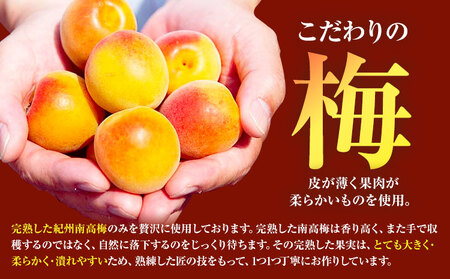 【ふるなびWEEK対象】紀州産南高梅 ご家庭用 減塩 はちみつ梅 1kg 塩分約5% 株式会社 東乃匠《30日以内に出荷(土日祝除く)》 和歌山県 日高川町 紀州南高梅 はちみつ 梅干し FN-Lim