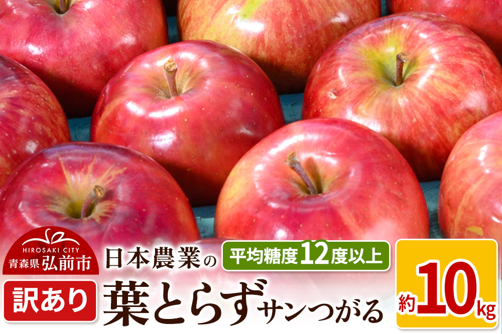 りんご 【先行受付】平均糖度12度以上！ 葉とらずサンつがる 約10kg 訳あり