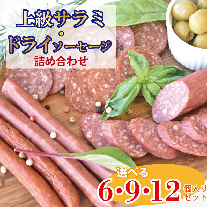 【ふるさと納税】銀河のサラミ・ドライソーセージ ≪選べる内容量 6個入り 9個入り 12個入り≫上級サラミ2種 常温配送/保存 父の日 ギフト