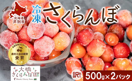 訳アリ 500g 2パック 美味しい 北海道 訳アリ 冷凍