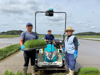 千葉特産　高級品種[千葉半立]植松のごく旨落花生　4種詰め合わせセット_菓子・スイーツ 和菓子    野菜 豆  まめ マメ TAKF053