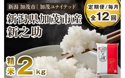 【令和7年産】【定期便12ヶ月毎月お届け】新潟県産 新之助 精米2kg 《2kg×1袋》《順次発送》 新潟 ブランド米 加茂市 加茂ユナイテッド
