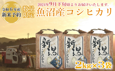 M14P235 【令和6年産 新米予約】《数量限定》令和6年産 魚沼産コシヒカリ2kg×3袋 精米（宮内農園）早期受付 2024年9月下旬頃から発送開始 白米 魚沼 米