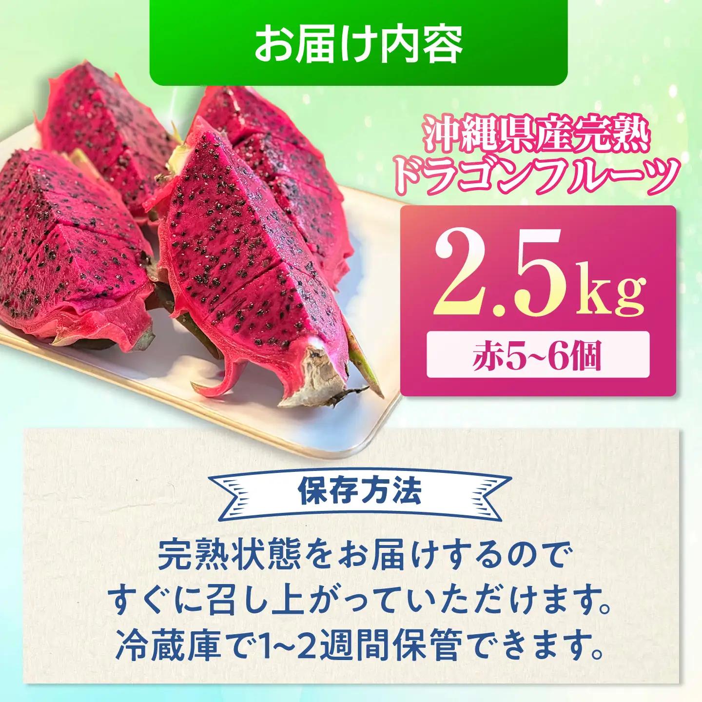 【ふるなびWEEK対象】ドラゴンフルーツ 2.5kg 完熟直送♪ 赤 沖縄ドラゴンフルーツ