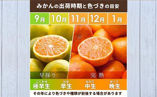 家庭用 小さな有田みかん10kg+250g（傷み補償分）［2025年10月上旬から2026年1月下旬頃順次発送予定］［IKE223］