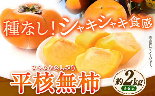 【先行予約】ひらたねなし柿 約2kg 4-9玉 岸武青果株式会社《10月中旬-12月上旬頃出荷》 和歌山県 紀の川市 柿 カキ かき 平核無柿 種なし 果物 フルーツ 送料無料
