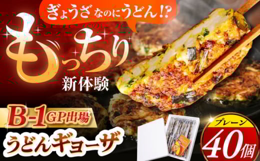 高槻うどんギョーザふるさとギフト【プレーン40個】 餃子 ぎょうざ ギョーザ うどん 焼きうどん お好み焼き 大阪府高槻市/高槻うどんギョーザの会 [AOAU003]
