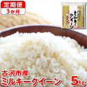 【ふるさと納税】【新米】【定期便 3か月】令和6年産 古河市産ミルキークイーン 5kg◇｜米 コメ こめ ごはん ご飯 ゴハン 白飯 単一米 国産 ミルキークイーン 5kg 定期便 3ヶ月 3回 茨城県 古河市_DP37