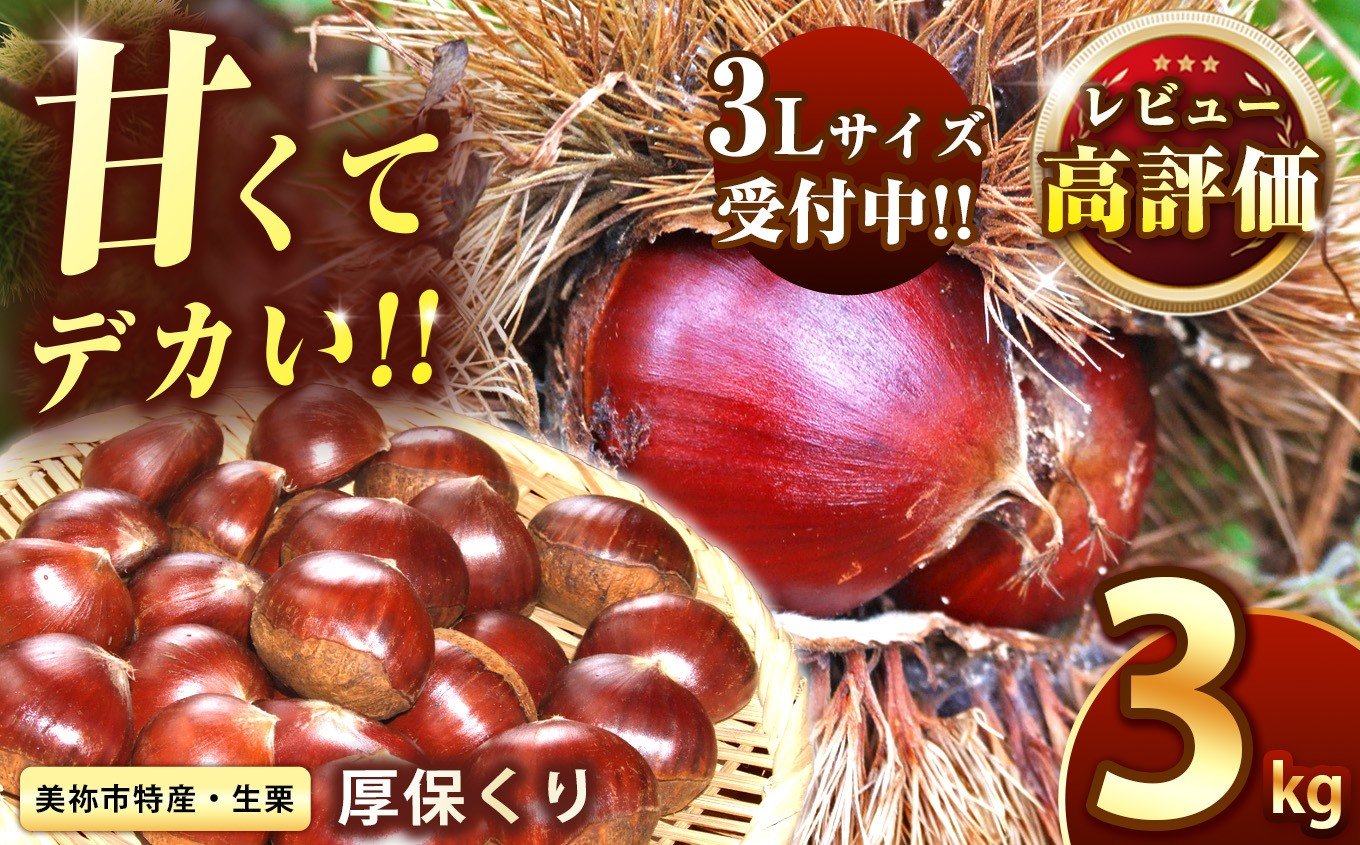 
            期間限定 ! 甘くて デカい ! 厚保くり ( 生栗 3Ｌサイズ ) 3kg 山口美祢産 先行予約 ＜ 2025年11月中旬 発送予定＞ ｜  山口 美祢 栗 くり 厚保 大きい 甘い 大玉 特産品 焼き栗 栗ご飯 生栗 期間限定 季節限定 先行予約 3kg
          