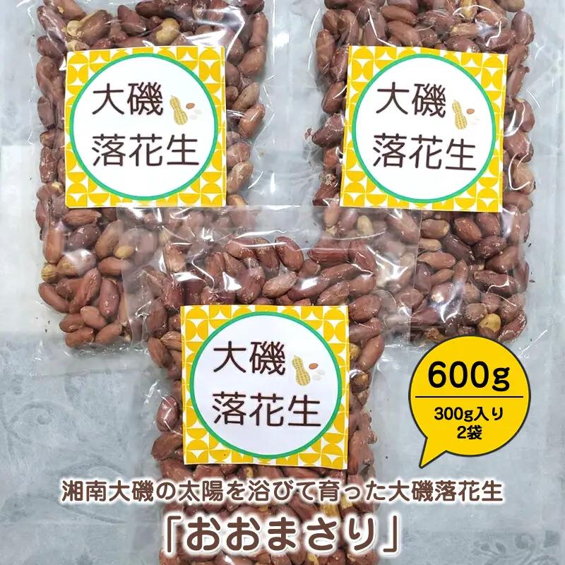 湘南大磯の太陽を浴びて育った大磯落花生　「おおまさり」 たっぷり600g（300g入り2袋）【おつまみ　大容量】【 神奈川県 大磯町 大粒の落花生 天日干し ポリフェノー 薄皮付き ピーナッツ 贈り物 父の日】