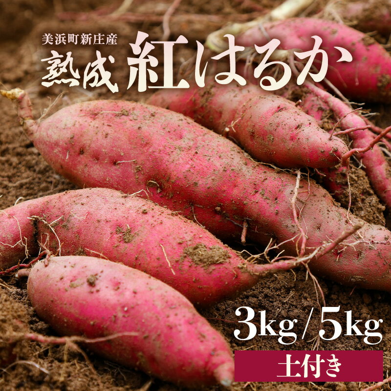 【ふるさと納税】【先行予約】大谷原の熟成さつまいも (土付き) 【選べる内容量：3kg / 5kg】【2025年10月下旬以降順次発送予定】【入手困難・数量限定】【サツマイモ 芋 イモ 紅はるか べにはるか 熟成 甘い おいしい 国産 産地直送】