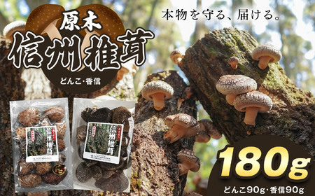 原木 信州椎茸 どんこ・香信 干ししいたけ セット | きのこ キノコ 椎茸 どんこ 香信 原木 しいたけ 干ししいたけ 長野県 南信州 天龍村