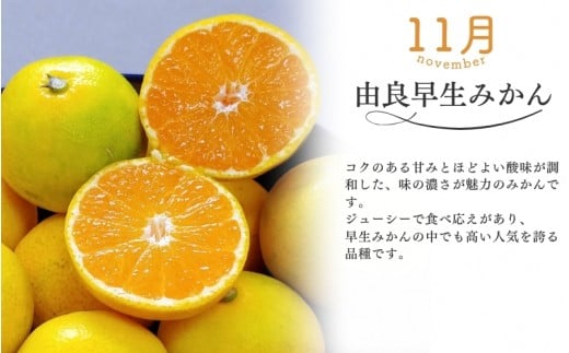 【全3回】仲森農園の柑橘定期便 合計3種 30kg 【極早生温州・由良早生・早生温州「完熟熊野みかん」】 みかん ミカン 蜜柑 温州みかん 温州ミカン 柑橘 みかん定期便 フルーツ定期便 果物定期便 