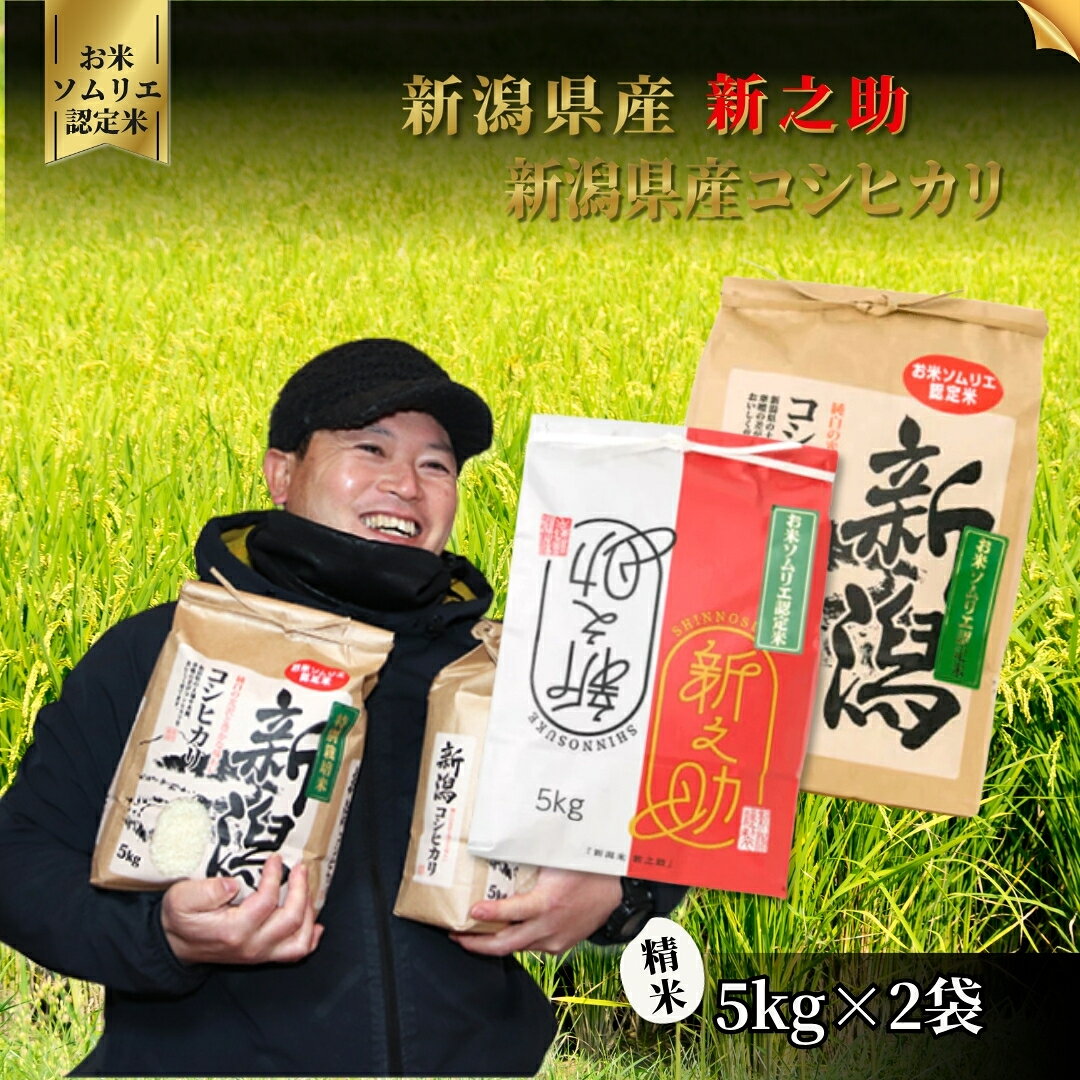 【ふるさと納税】【先行予約】令和8年産 お米 食べ比べ 米 10kg（コシヒカリ5kg、新之助5kg）お米ソムリエのお米 | 精米 白米 コシヒカリ こしひかり 新之助 しんのすけ お米 おこめ コメ こめ 新潟県 五泉市 エバーグリーン農場