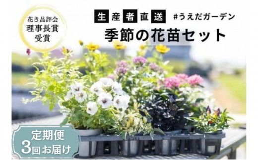 
花 定期便 3ヶ月季節の花苗 セット 花き品評会理事長賞受賞 花苗 生産者直送 庭季節の花苗セット ガーデニング 花壇 苗 苗木 花の苗 花の苗物 定期 お楽しみ 3回 お届け
