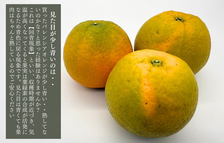 訳あり バレンシアオレンジ  国産 箱込 5kg (内容量 4.4kg ) サイズミックス 和歌山県産 産地直送 みかんの会