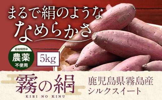 K-278-B 《期間限定！2025年12月中旬～2026年3月初旬迄に発送予定》鹿児島霧島のさつまいも「霧の絹」5kg【オーガランド】霧島市 さつまいも サツマイモ さつま芋 芋 シルクスイート 生芋