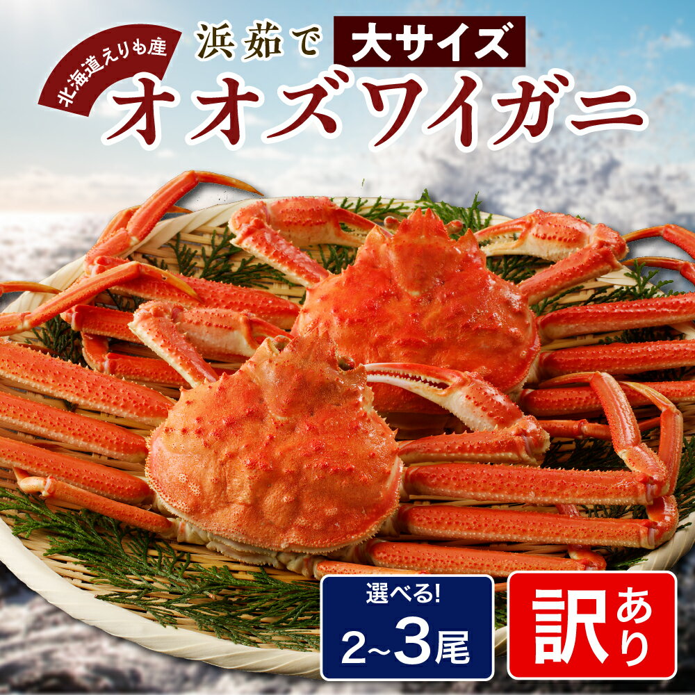 【ふるさと納税】【訳あり】 浜茹でオオズワイガニ( 選べる 2尾 3尾 ) おおずわいがに おおずわい蟹 大ズワイ 大ズワイガニ ズワイガニ ズワイ 蟹 カニ かに 魚介類 魚介 海鮮 大容量 訳アリ 姿 国産 北海道産 えりも産 北海道 えりも町
