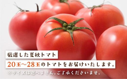 一級品 飛騨 トマト 4kg 箱入り とまと 大玉トマト サイズお任せ 産地直送 野菜 やさい 期間限定 飛騨高山 宿儺さま KA008
