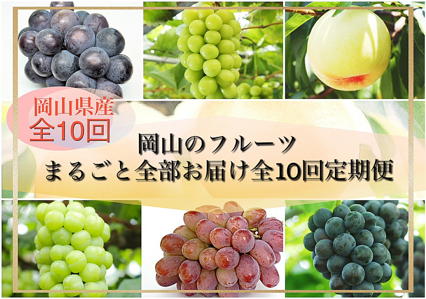 【ふるさと納税】【令和7年発送・先行予約】岡山のフルーツまるごと全部お届け全10回定期便　mm-103