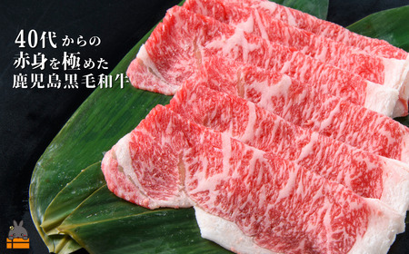 40代からの赤身を極めた鹿児島黒毛和牛ローススライス500g ( 厳選 赤身 プレミアム 高品質 鹿児島黒毛和牛 黒毛和牛 牛肉 万能 料理 徳之島 奄美 鹿児島 すき焼き しゃぶしゃぶ 高島屋 )