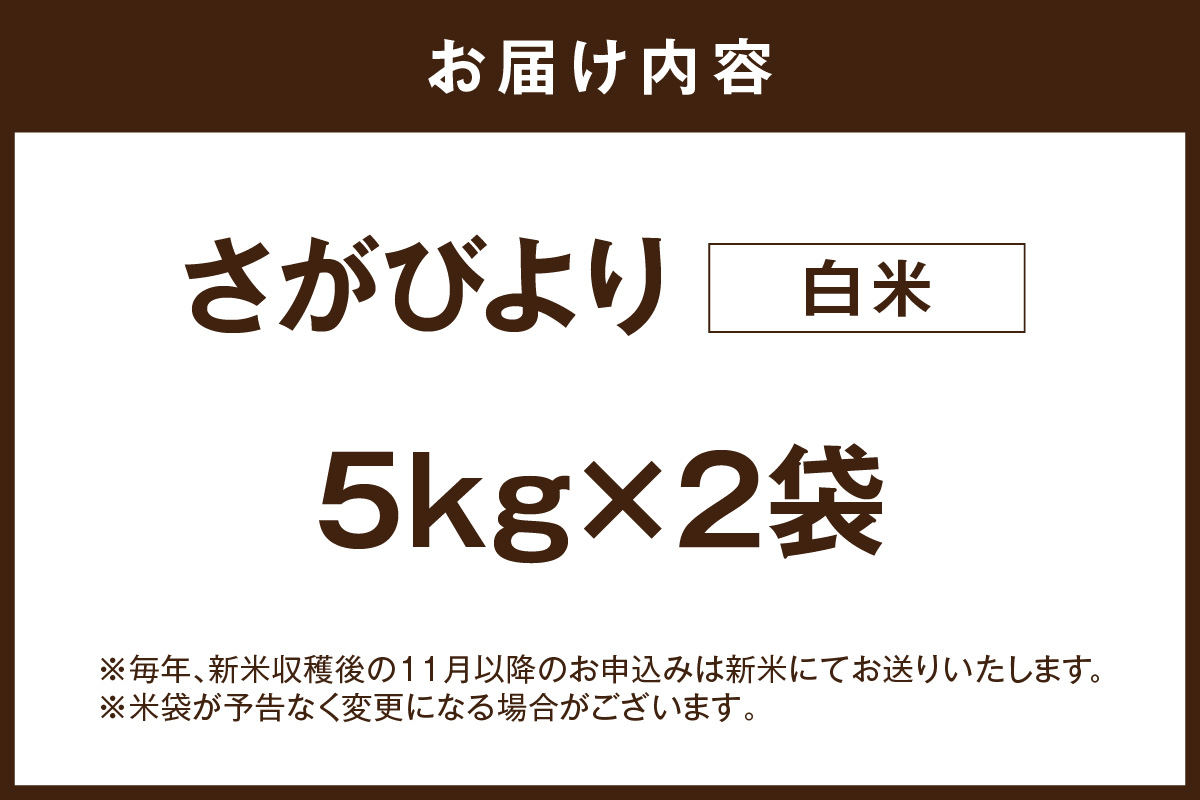 さがびより白米10kg(5kg×2袋) 086-B927