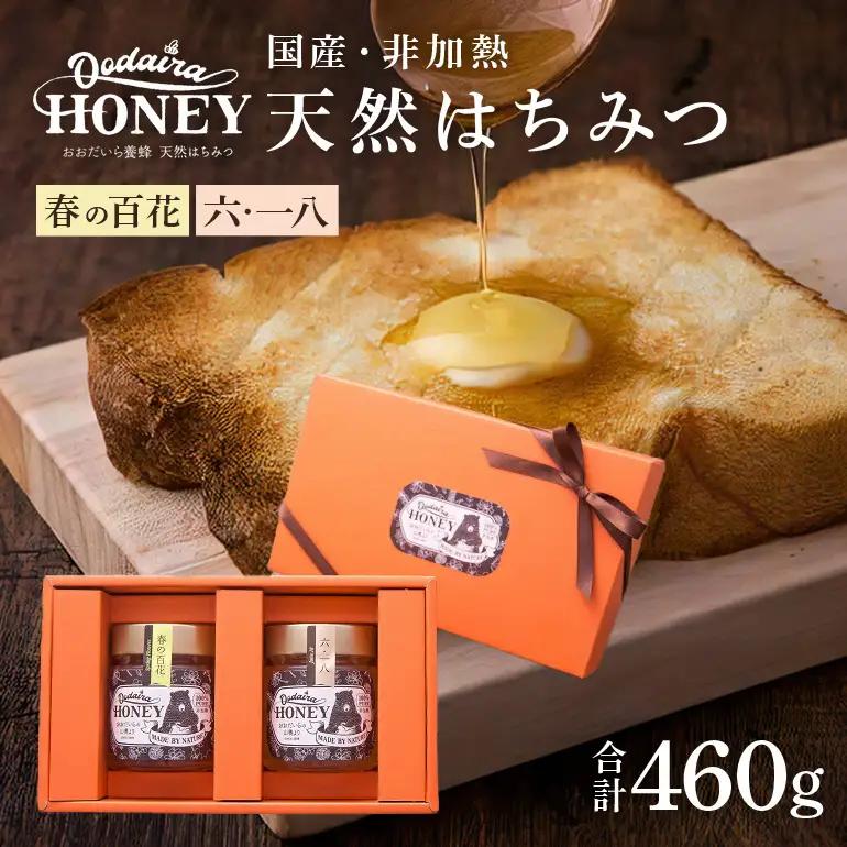 はちみつ 230g 2本セット 春の百花 非加熱 国産