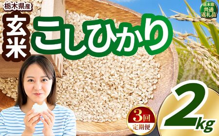 令和8年度産 先行予約 【定期便3回】こしひかり 玄米 約2kg