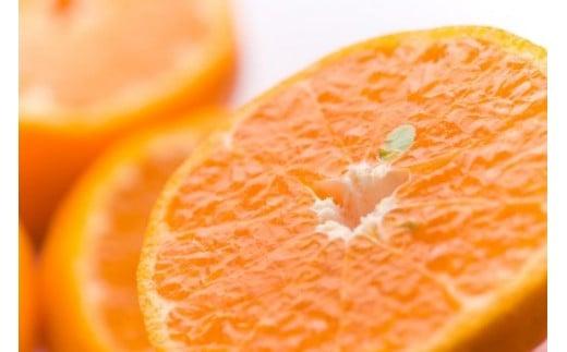 【ANA限定】【先行予約】＼数量限定／西都市産 蔵出し熟成ぽんかん 5kg　やのぽんかん園直送 ＜1-34＞