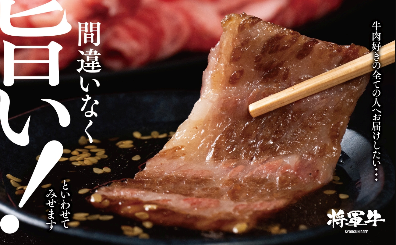 【将軍牛】特選焼肉セット ロース カルビ もも 3種類 500g【配送不可地域：離島・北海道・沖縄県】