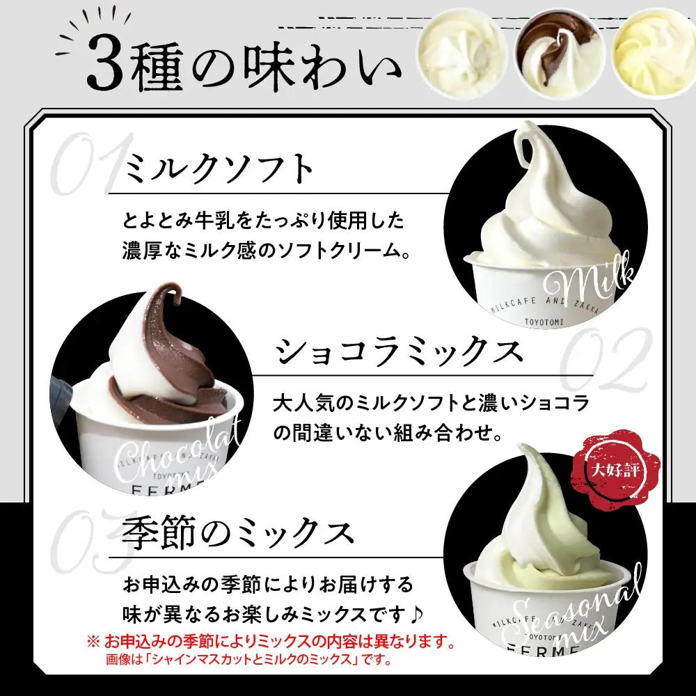 【6か月定期便】とよとみ牛乳ソフトクリーム【3種セット  計12個】