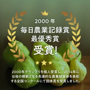 【2024年先行予約】糖度14度以上の極上品　大玉西洋梨 約2.8㎏（4～11個）