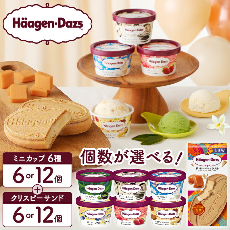 【ふるさと納税】【個数が選べる】 ハーゲンダッツ ミニカップ クリスピーサンド セット アイスクリーム アイス スイーツ デザート バニラ 国産 詰め合わせ 人気 おすすめ おやつ ご褒美 贅沢 ギフト 贈り物 加工品 冷凍 北海道 浜中町 送料無料