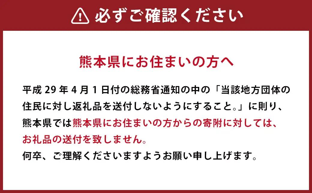 【生産者直送】春の恵み たけのこ 約4kg 以上（2~5本） 【2027年4月上旬発送開始】 やさい 野菜 竹の子 筍 タケノコ 熊本県産