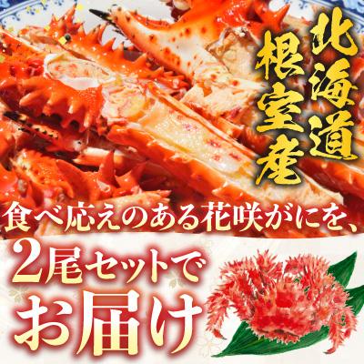 ふるさと納税 根室市 【北海道根室産】花咲かに500g前後〜650g前後×3尾 B-36002 |  | 01