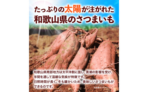 和歌山県のサツマイモ在来種小さめサイズ5kg《12月中旬‐4月下旬頃出荷》みはらファームさつま芋薩摩芋---wshg_mssi_b124_22_11000_5kg---