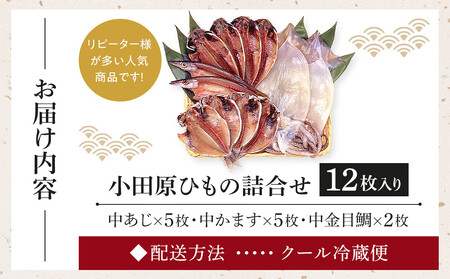 小田原ひもの詰合せ s45【惣菜 魚 干物 ひもの お取り寄せ 御中元 お中元 お歳暮 父の日 母の日 贈り物 家庭用 自宅用 贈答品 贈答用 ギフト 定番 朝食 朝ごはん 国産 中あじ、中かます、中