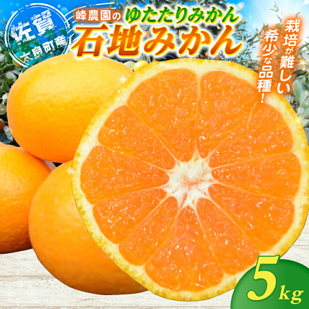 【ふるさと納税】峰農園のゆたたりみかん【石地みかん】5kg フルーツ 果物 くだもの 柑橘 みかん 佐賀県 太良町 M87