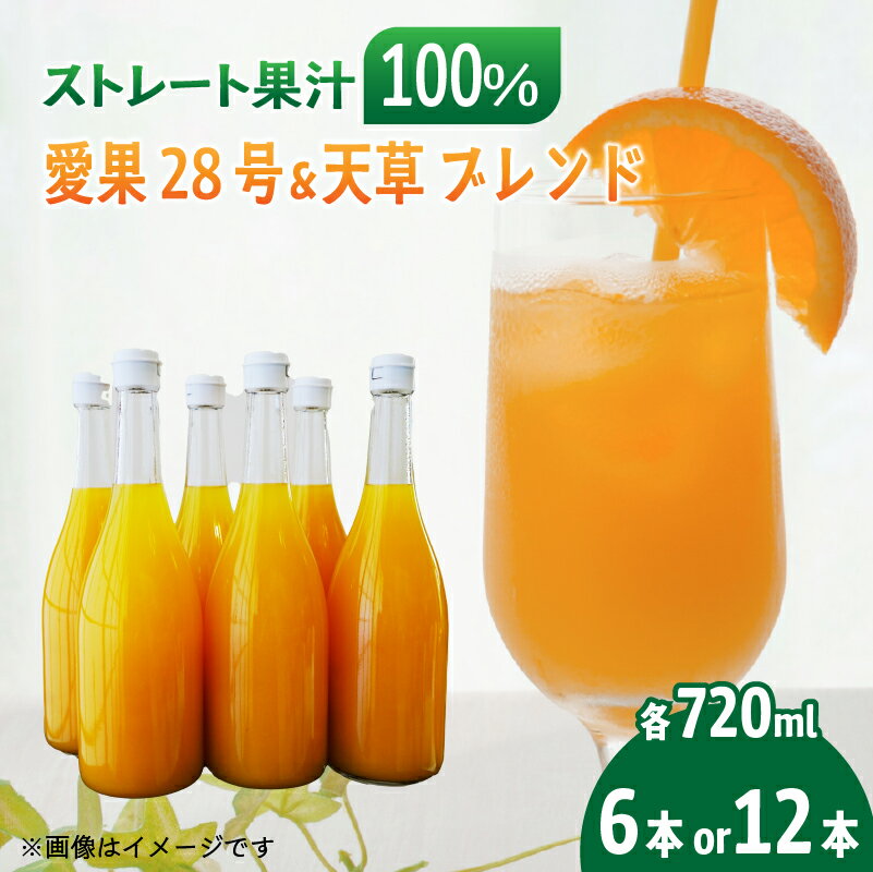 【ふるさと納税】 あいか＆天草ブレンド 果汁100％ ジュース 720ml×6本/12本 | 愛果28号 紅まどんな と同品種 果汁100% 無添加 ストレートジュース 数量選択可 みかんジュース 果汁100% みかんジュース ストレート 100% ジュース 柑橘 果汁 NPO法人農音 愛媛県 松山市 中島