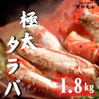 ふるさと納税 泉南市 【生食ok!!極太サイズ】生たらば蟹 ハーフポーション 約1.8kg