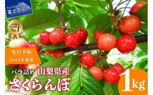 【2025年発送】【数量限定】【期間限定】山梨県産 紅秀峰 さくらんぼ (1kg) バラ詰め フルーツ 山梨県産  数量限定 期間限定 さくらんぼ 果物 産地直送 山梨 富士吉田