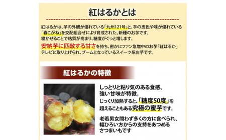 さつまいも 紅はるか 秀品5kg 西原村産 サツマイモ 紅蜜芋 芋 いも