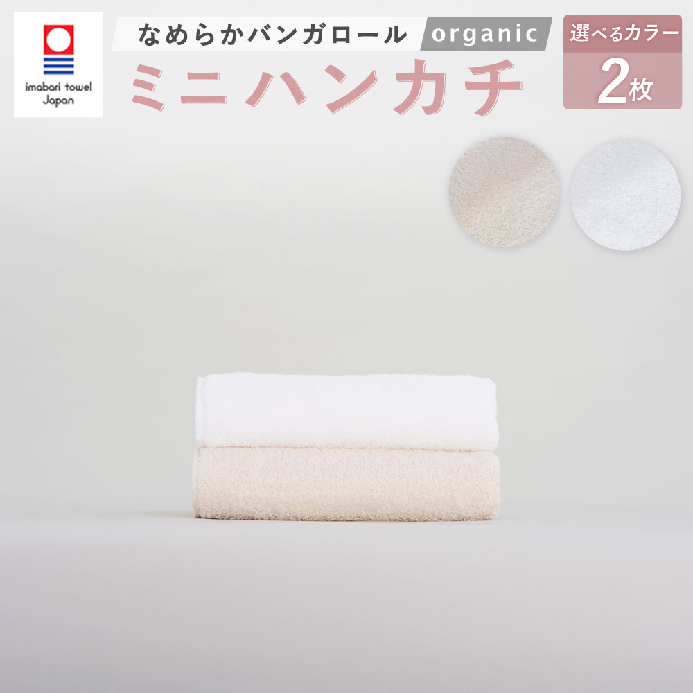 【ふるさと納税】＜選べるカラー＞【今治タオルブランド認定】なめらかバンガロールorganic ミニハンカチ 2枚セット オフホワイト・キナリ 25cm×25cm 綿100% コットン タージマハールオーガニック ハンドタオル ハンカチーフ 吸水 小物 雑貨 大阪府 阪南市 送料無料