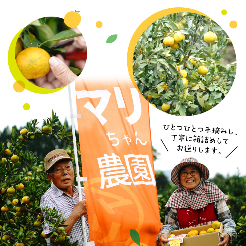 早生みかん及び普通みかん 5kg N0132-YA2269